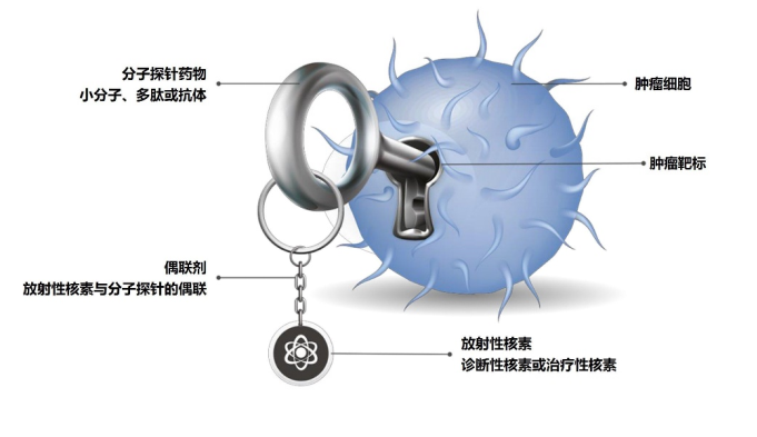 星空体育核药伙伴Telix全球创新RDC产品TLX101海外I期研究完成全部患者入组